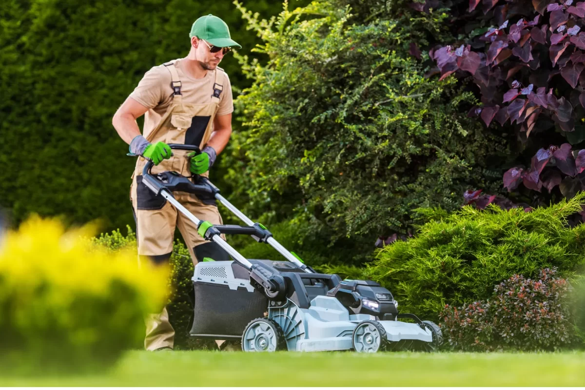 Lawn Maintenance